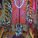 Vraj-Yatra-2014- (626)